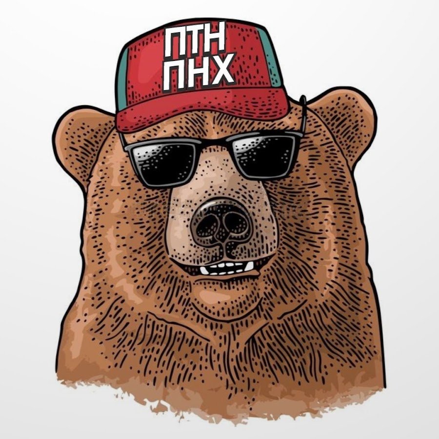 Медведь в очках