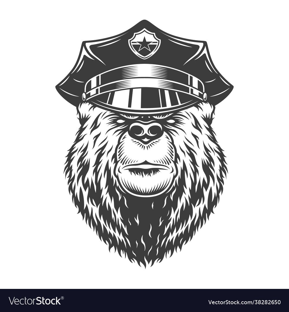 Медведь в кепке