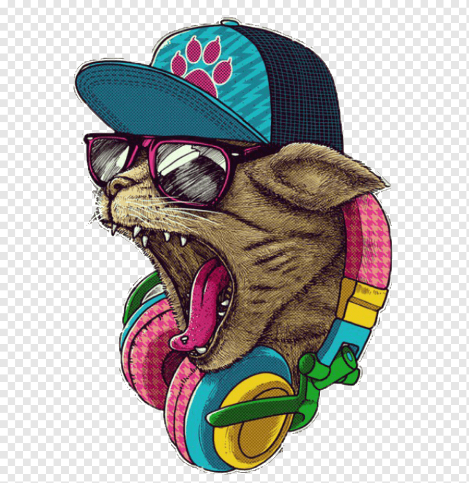 Кот в наушниках и кепке