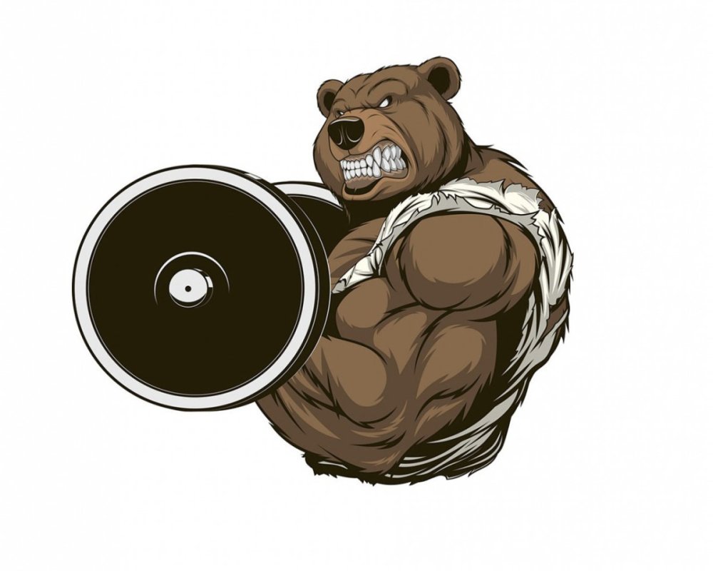 Медведь со штангой