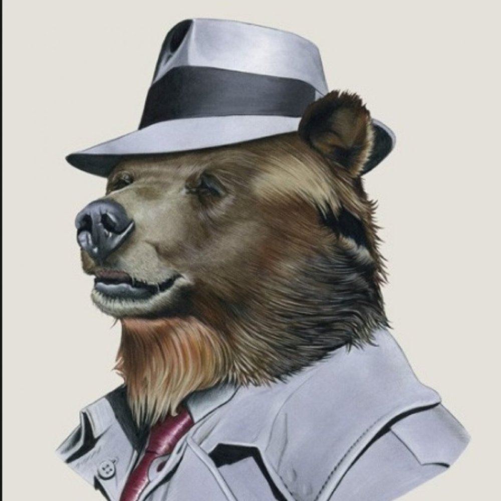 Медведь в пиджаке