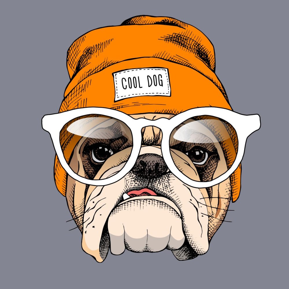 Медвежонок в бейсболке