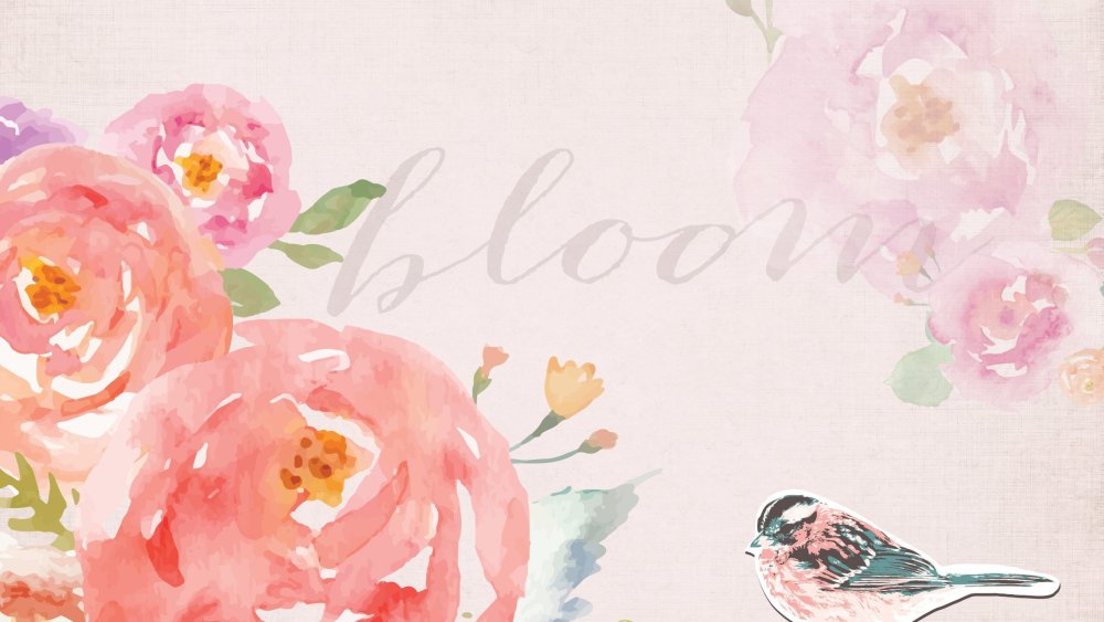 Обои на ноутбук цветы