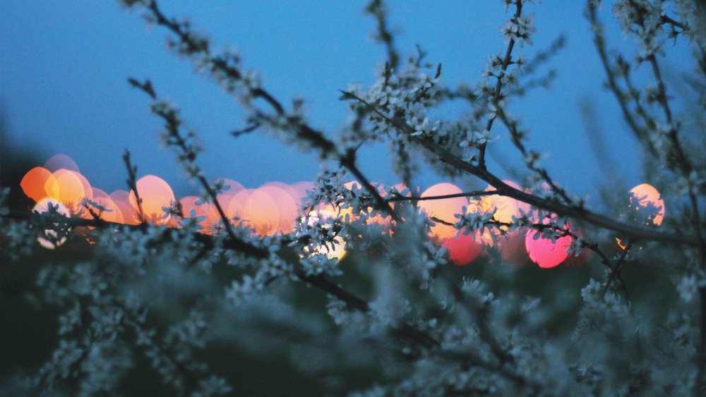 Осень Эстетика