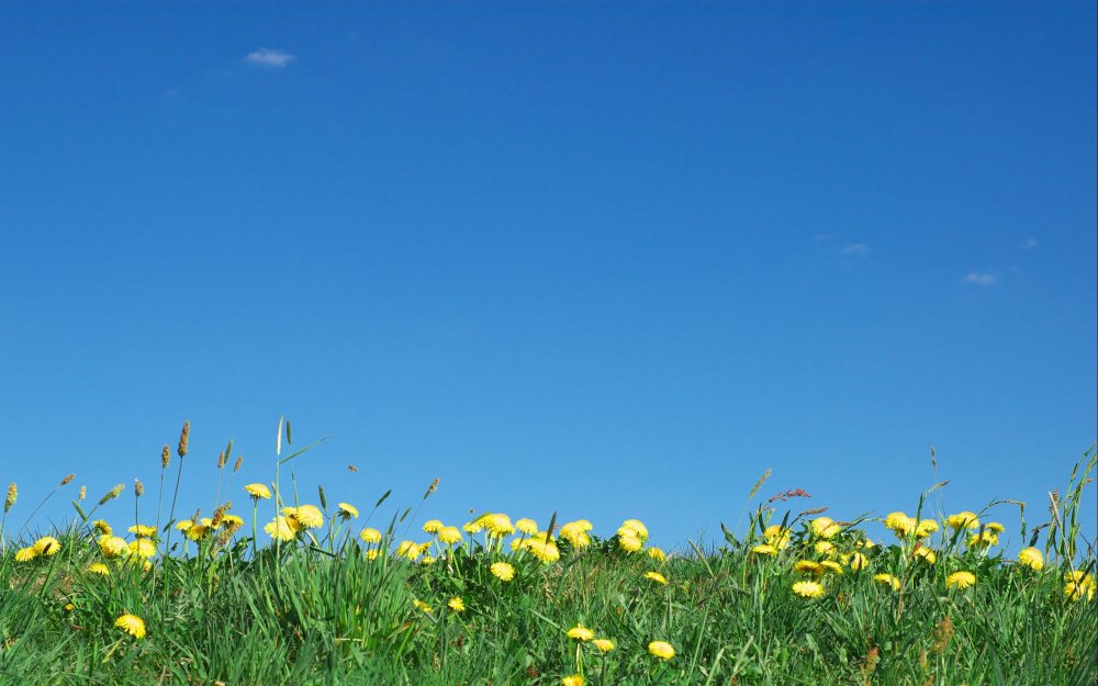 Голубое летнее небо