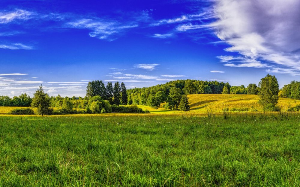 Панорамная природа