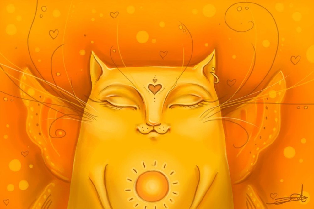 Кот на солнышке