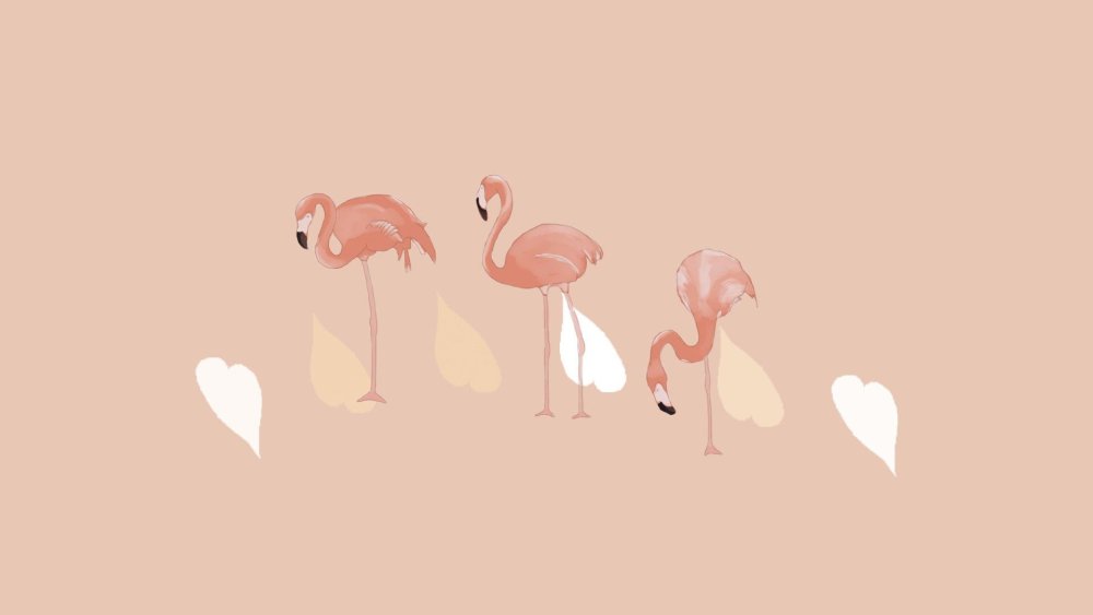 Обои Минимализм с животными