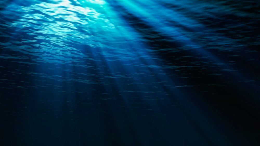 Мрачное море