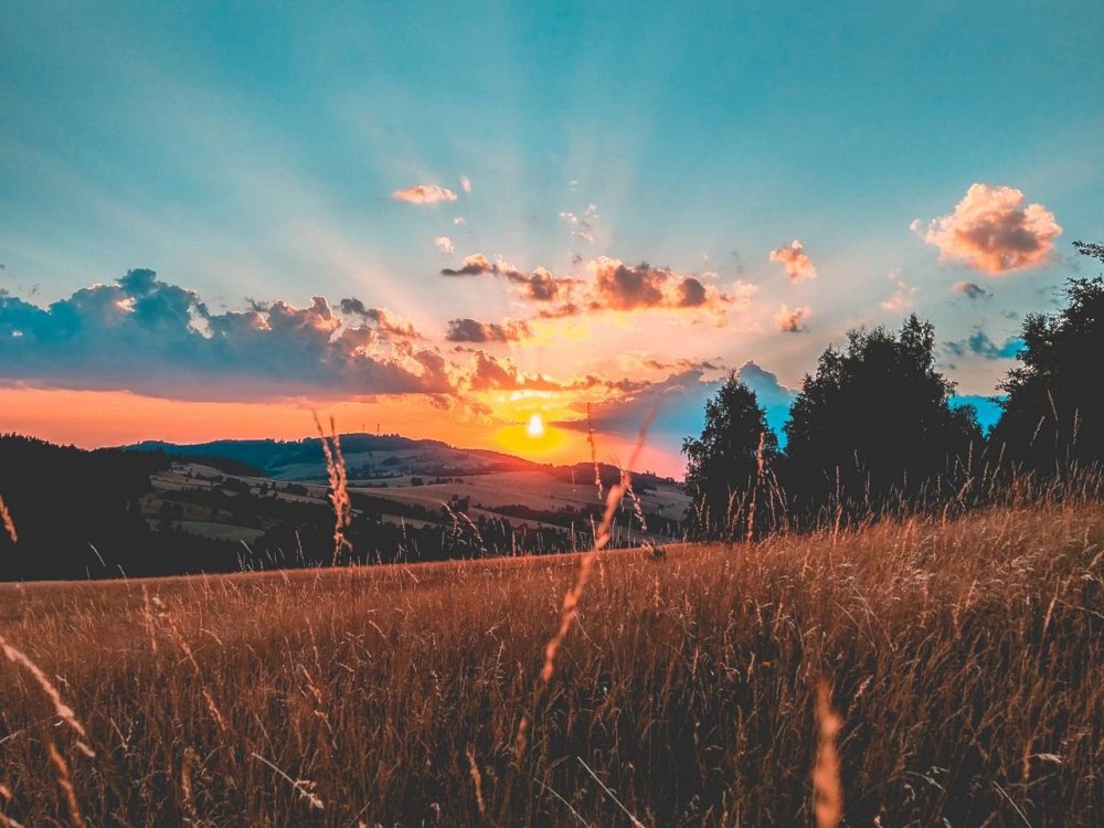 Эстетичные обои лето