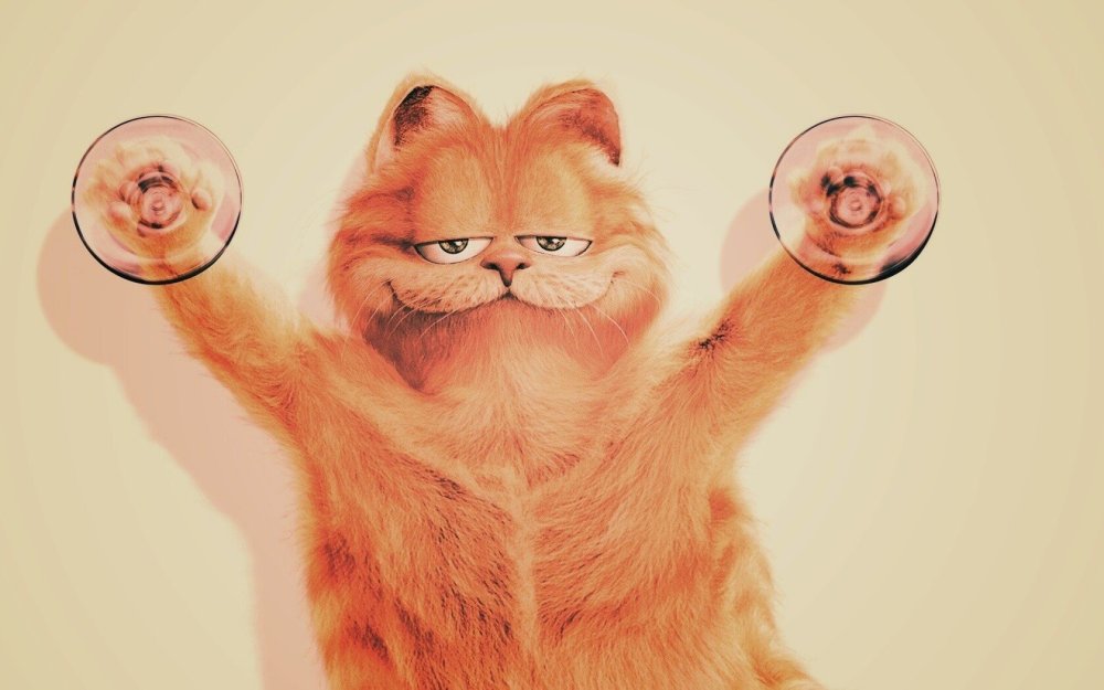 Прикольные изображения на рабочий стол