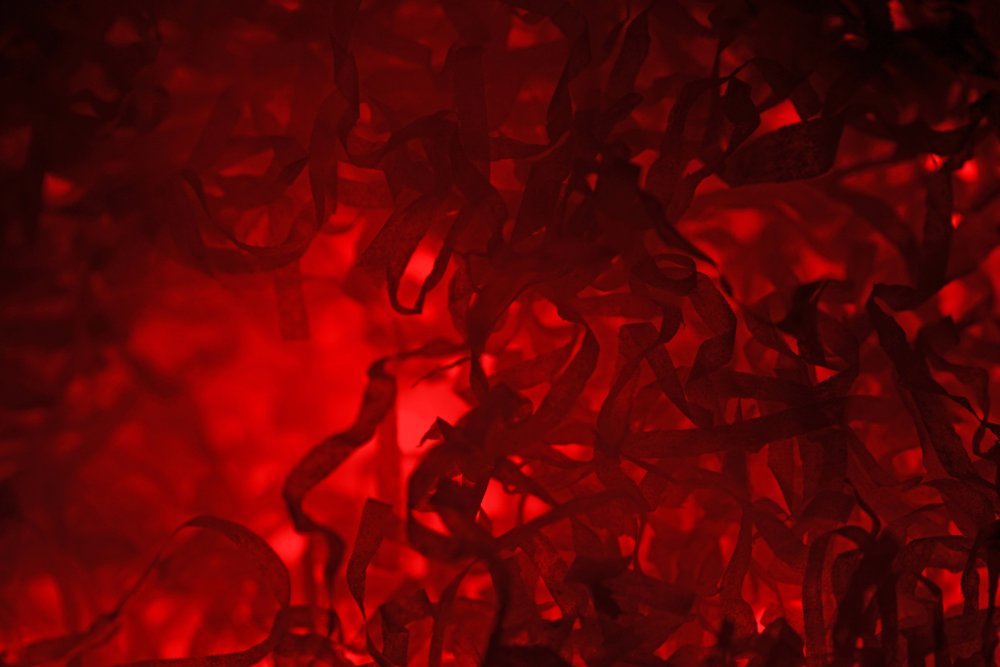 Бордовый цвет