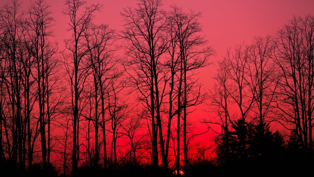 Кровавый закат