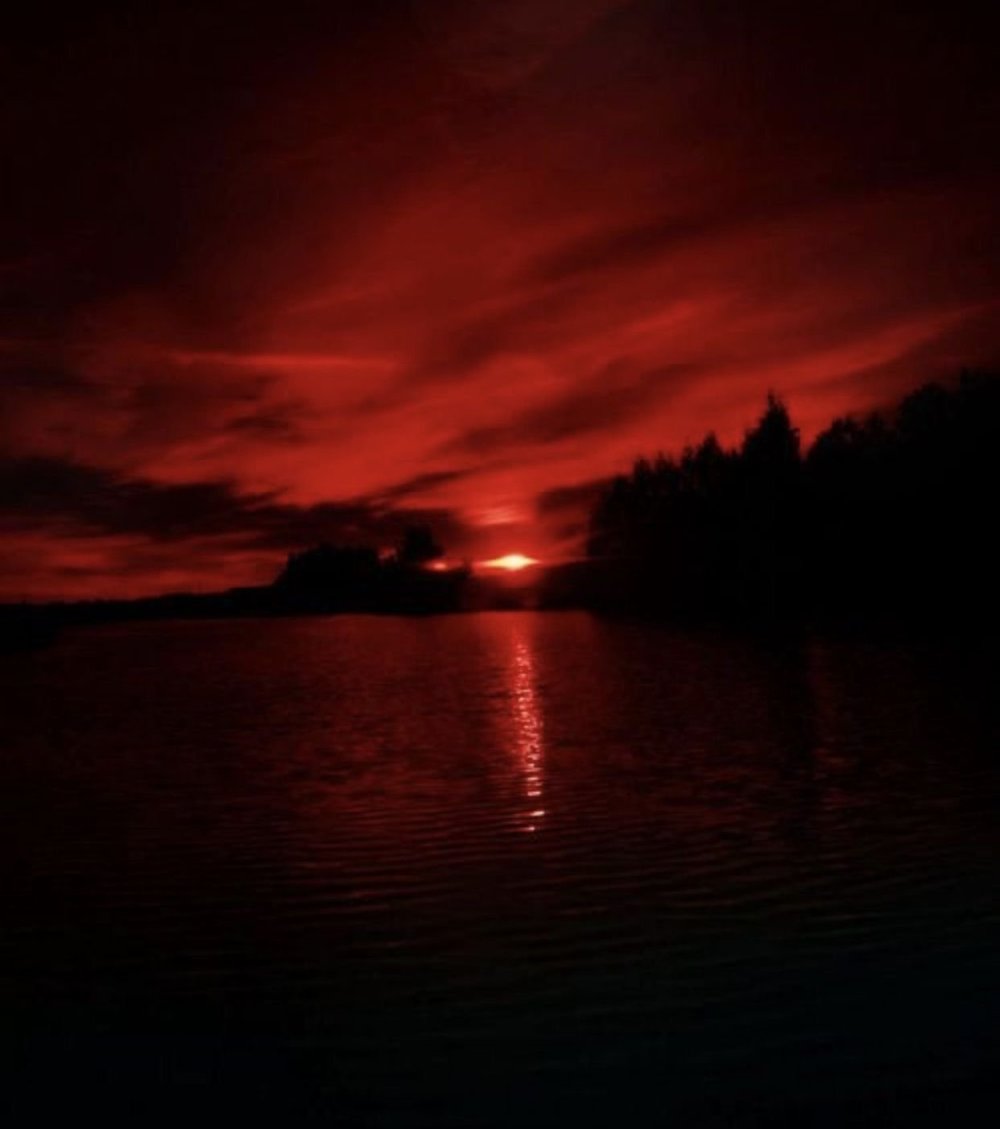 Розовый лес