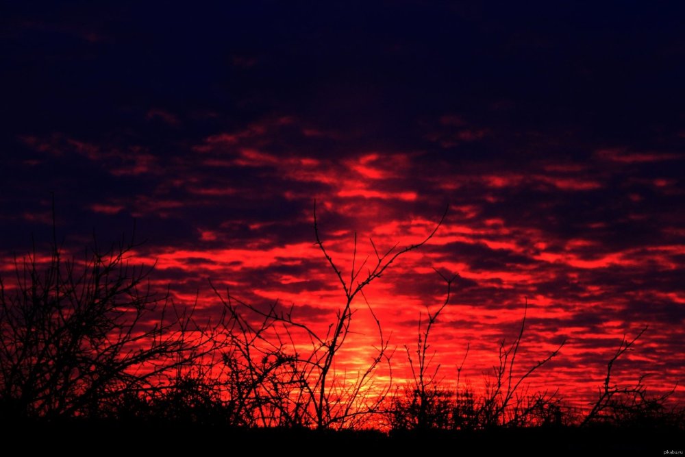 Кровавый рассвет