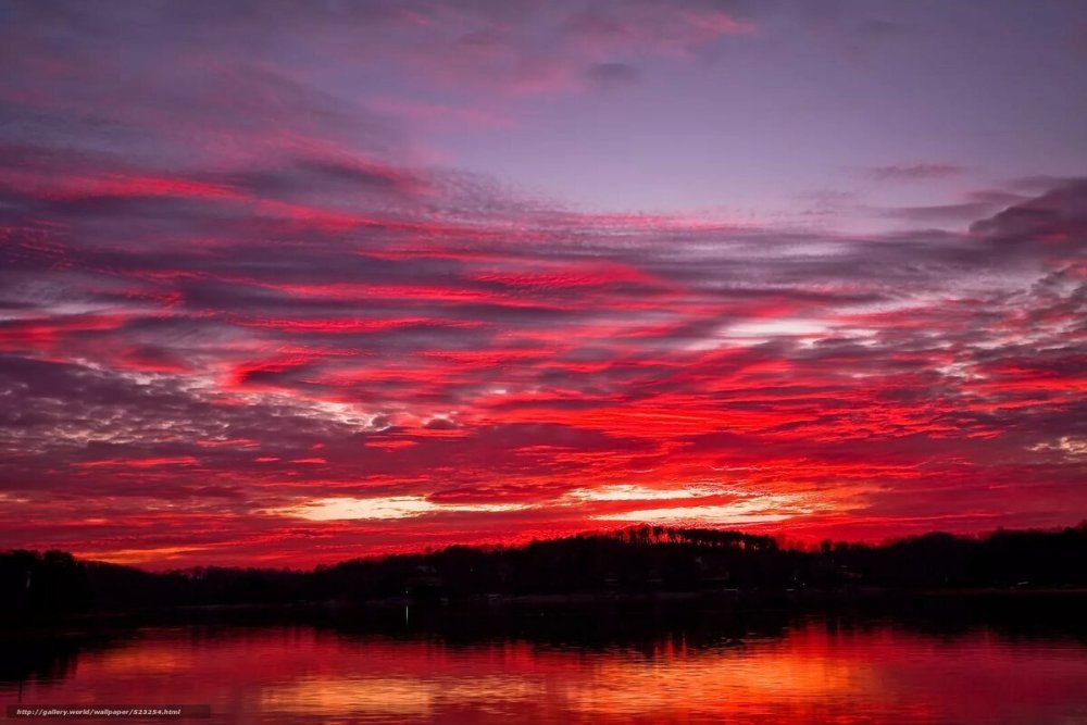 Кроваво бордовый цвет