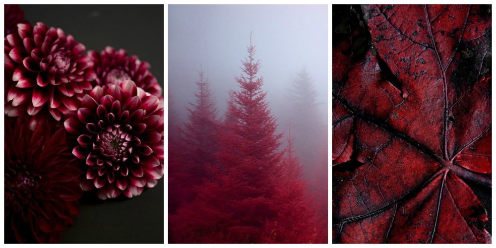 Эстетика красного цвета