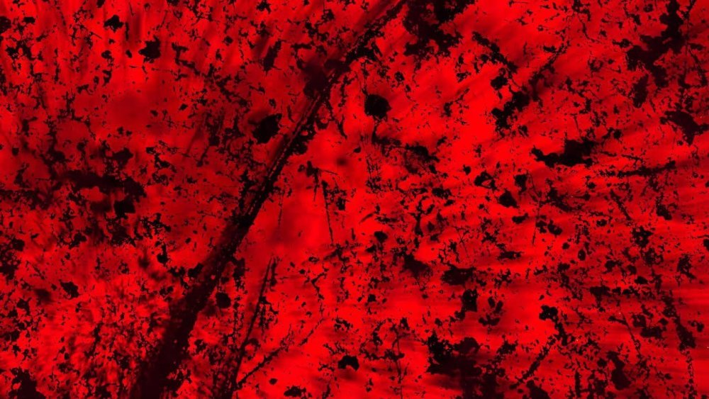 Бургундский красный Эггер