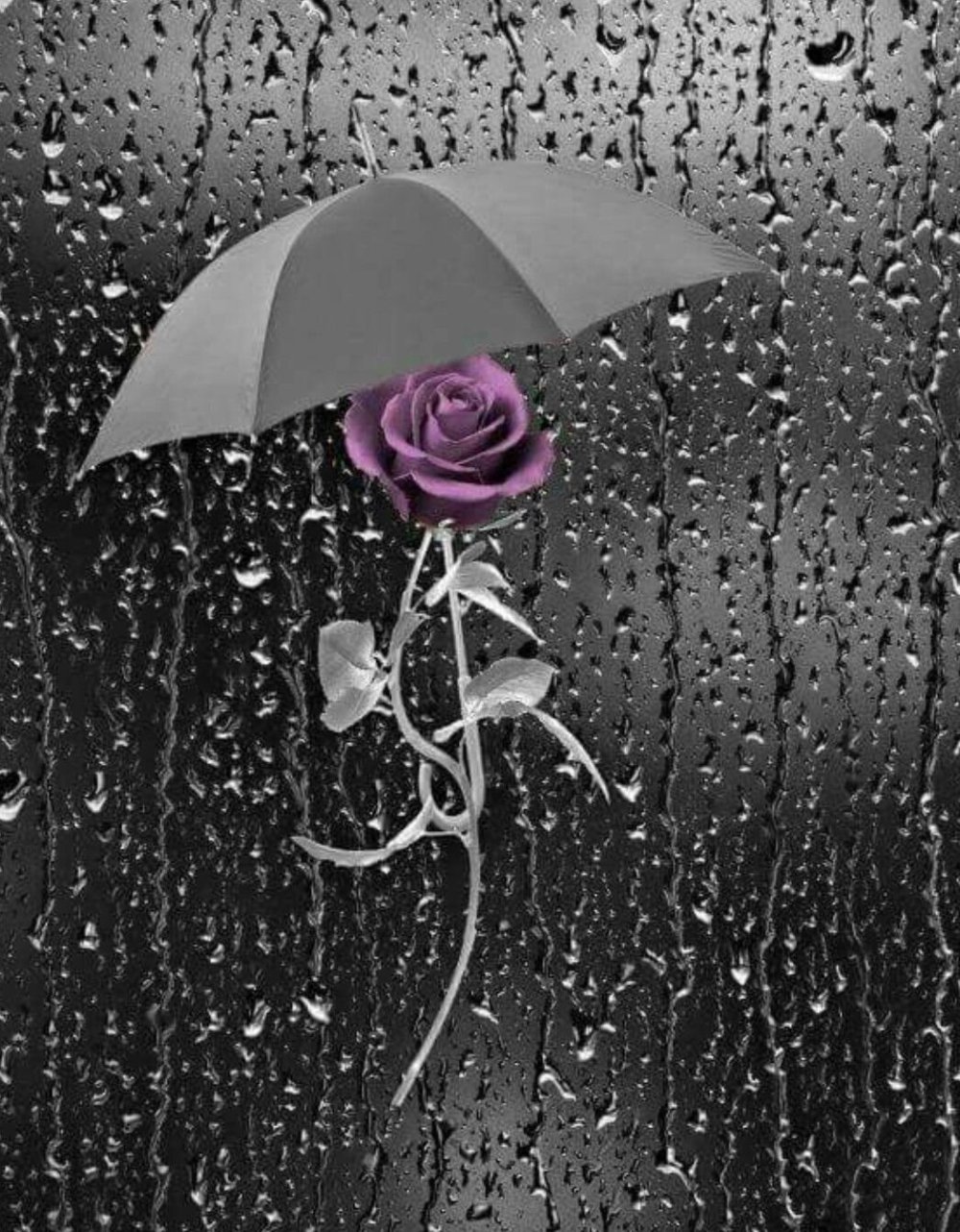 Цветочек под дождем