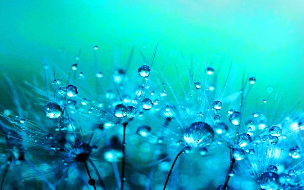 Дождь Эстетика