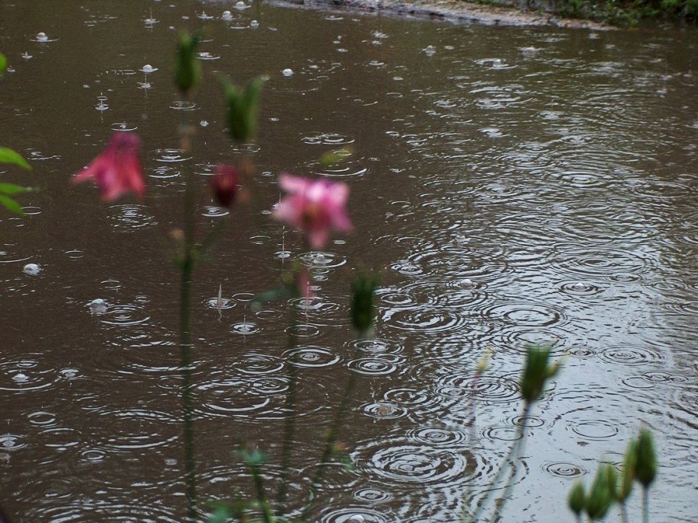 Красивый дождь