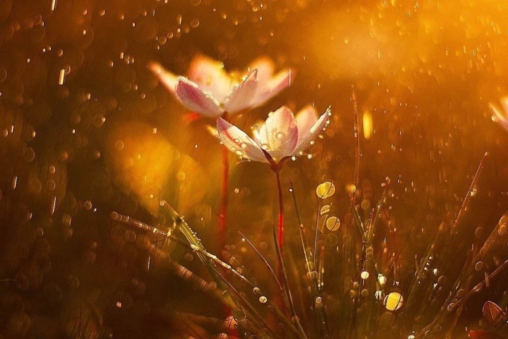 Дождливый фон