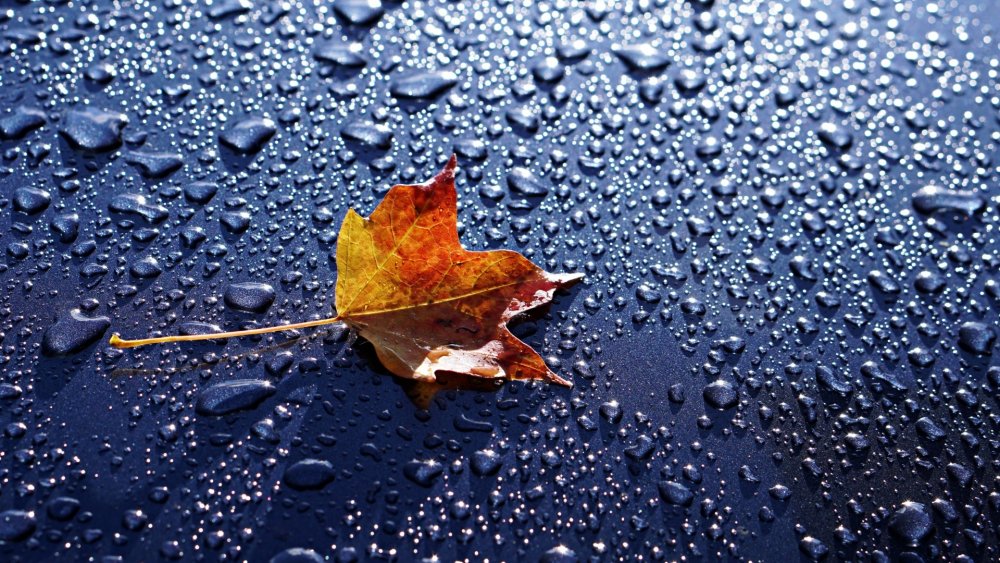 Волшебный колокольчик