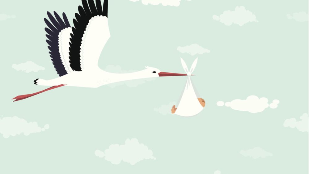 Аист несет смартфон