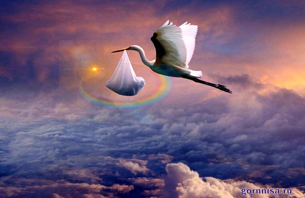 Аист принес ребенка картинки