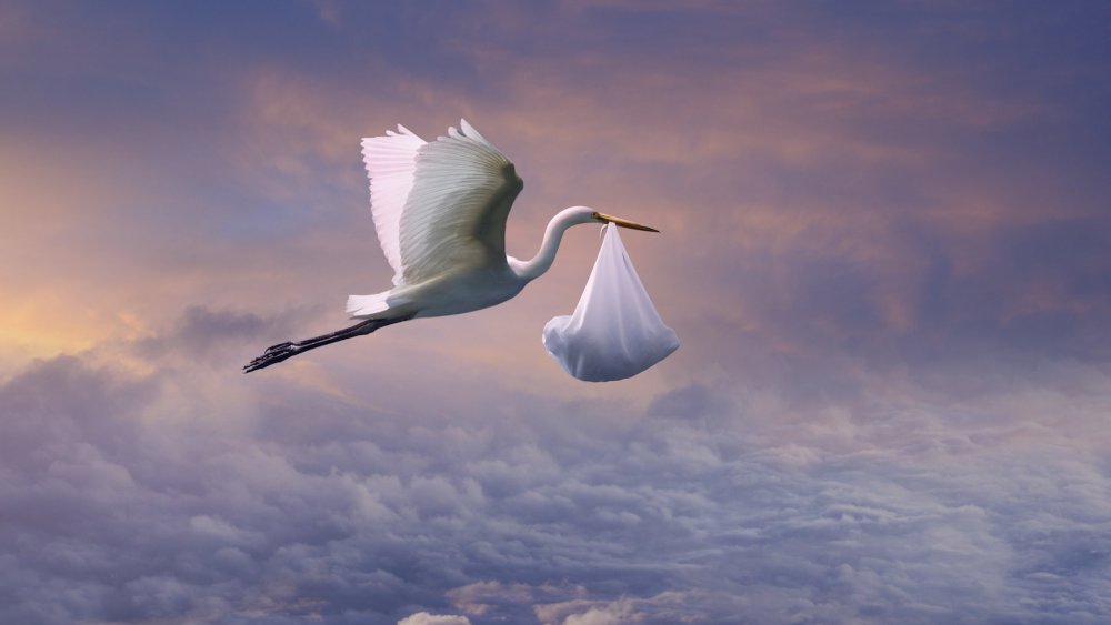 Аист приносит ребенка