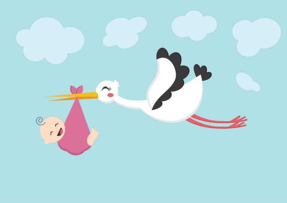 Аист с ребенком