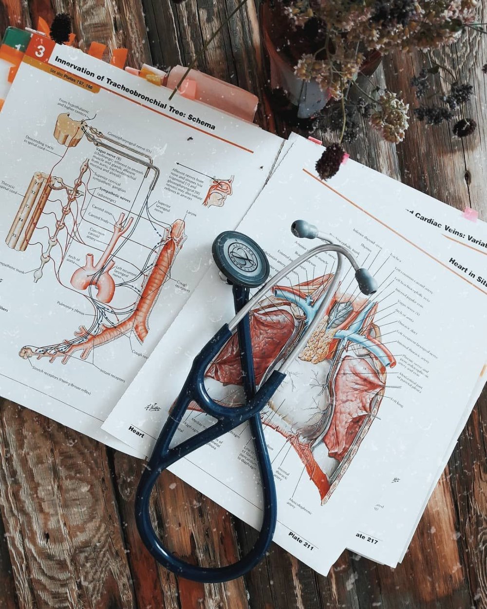 Фон для презентации по медицине