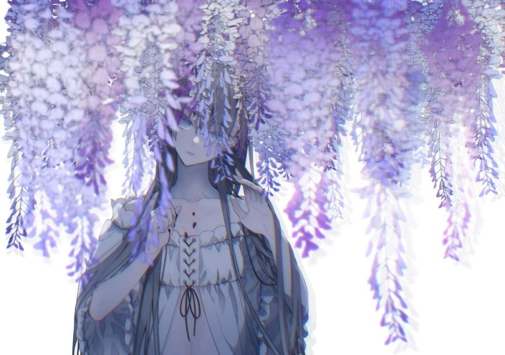 Глициния клинок рассекающий