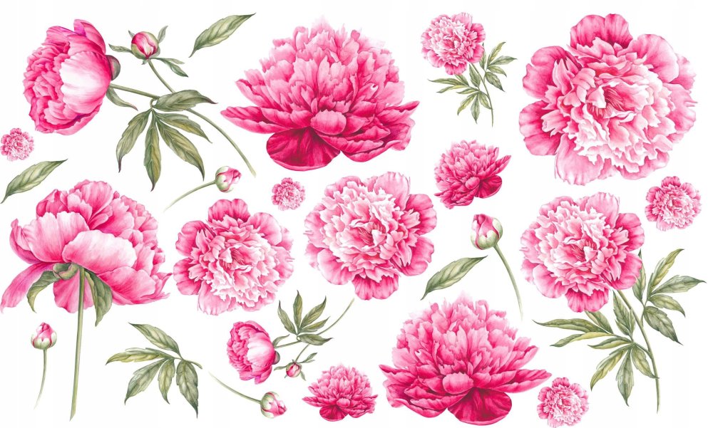 Цветочный фон пионы