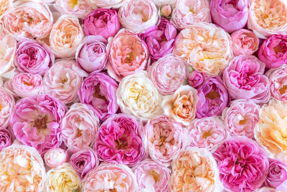 Принт цветы