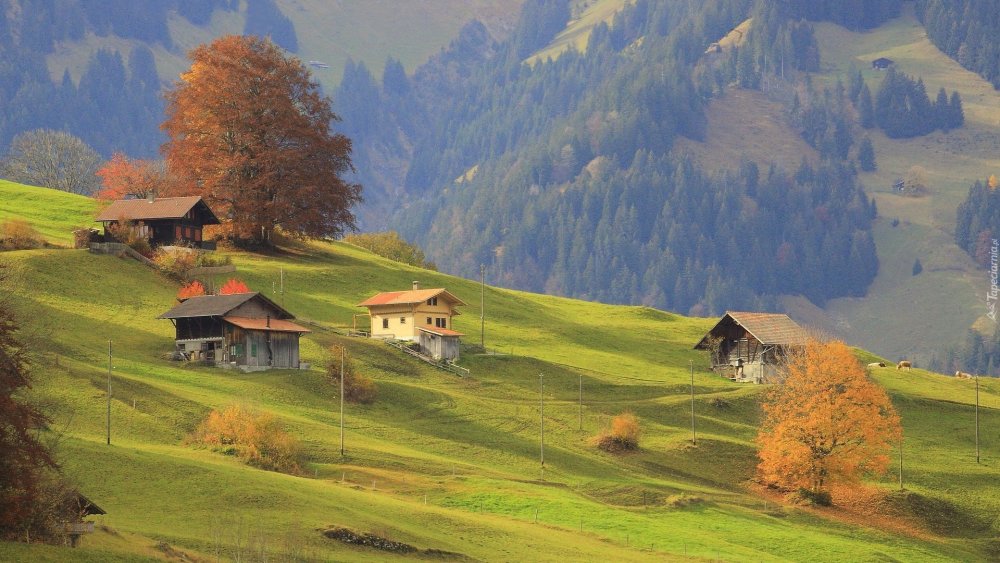 Одинокий дом в горах Швейцарии