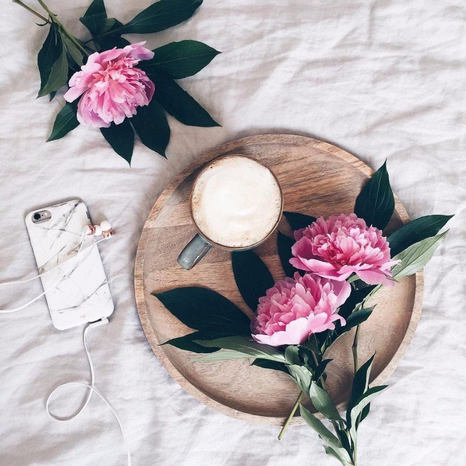 Предметная съемка композиция