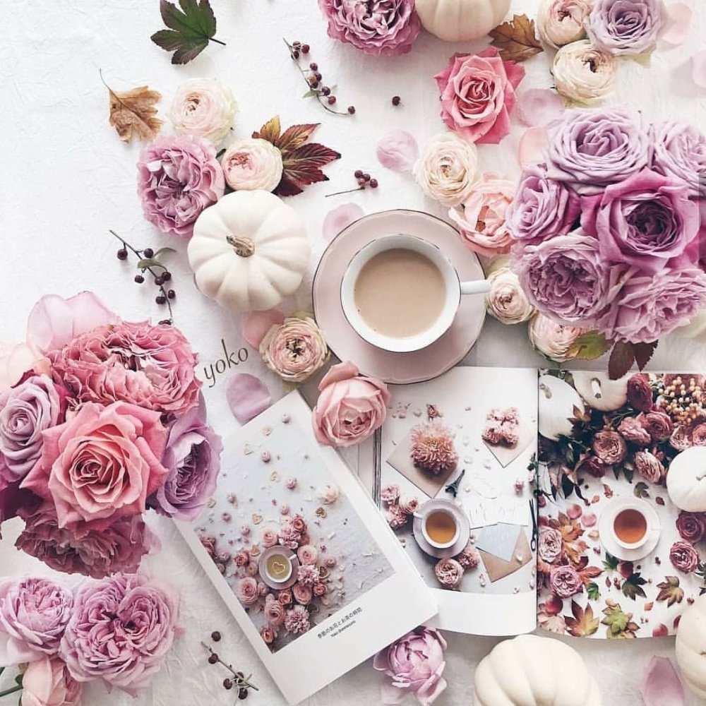 Стильные фоны для инстаграмма