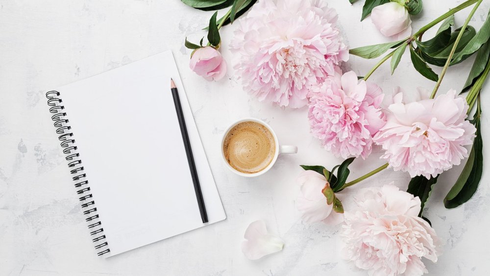 Фотообои нежные пионы