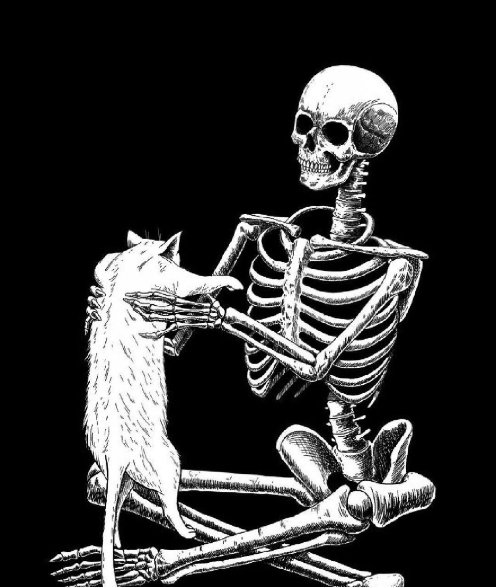 Крутой скелет