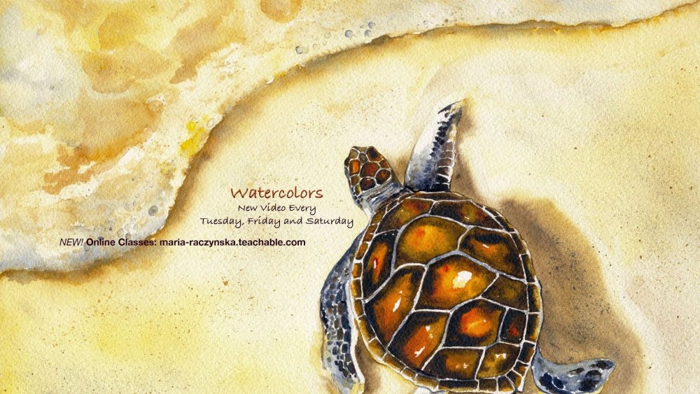 Красноухая черепаха