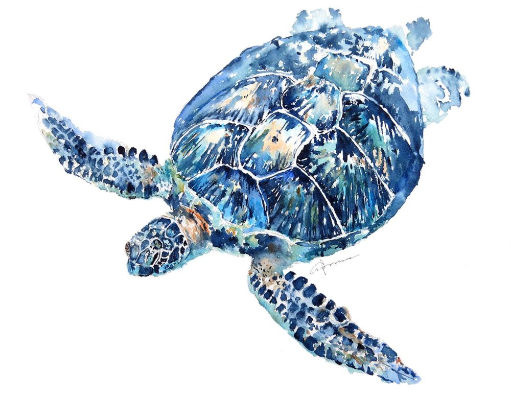 Зеленая морская Черепашата