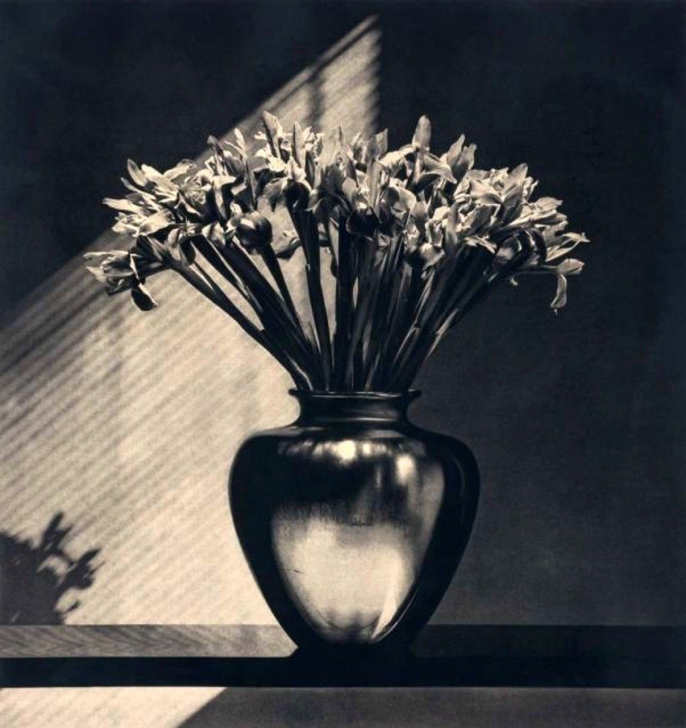 Кристофер бюманд натюрморт