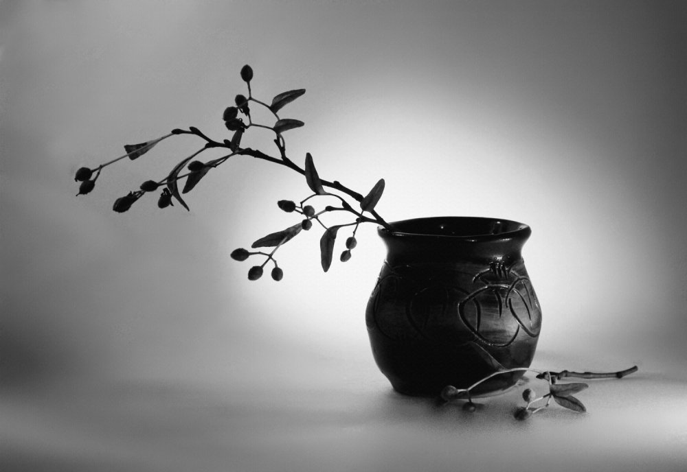 Натюрморт на черном фоне