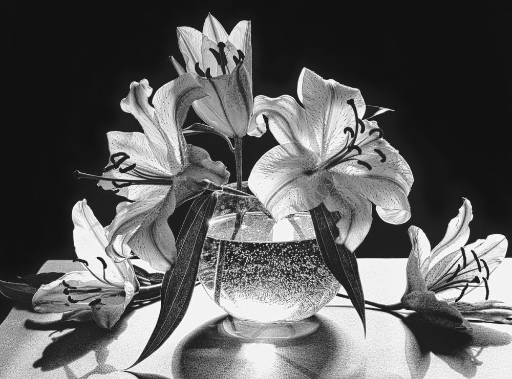 Чашка черно белая