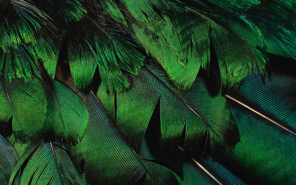 Нефрит и малахит