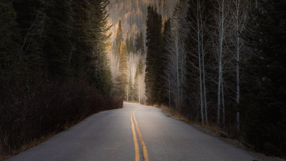 Загадочная дорога