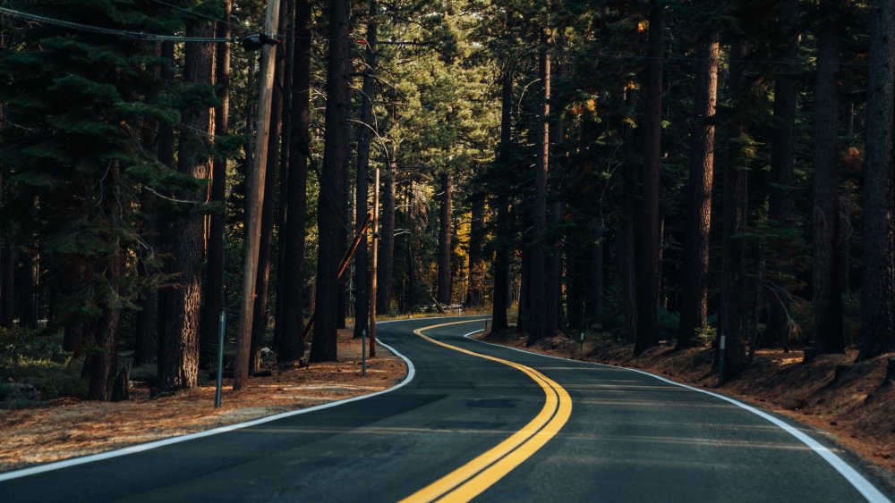 Обои на рабочий стол осень лес