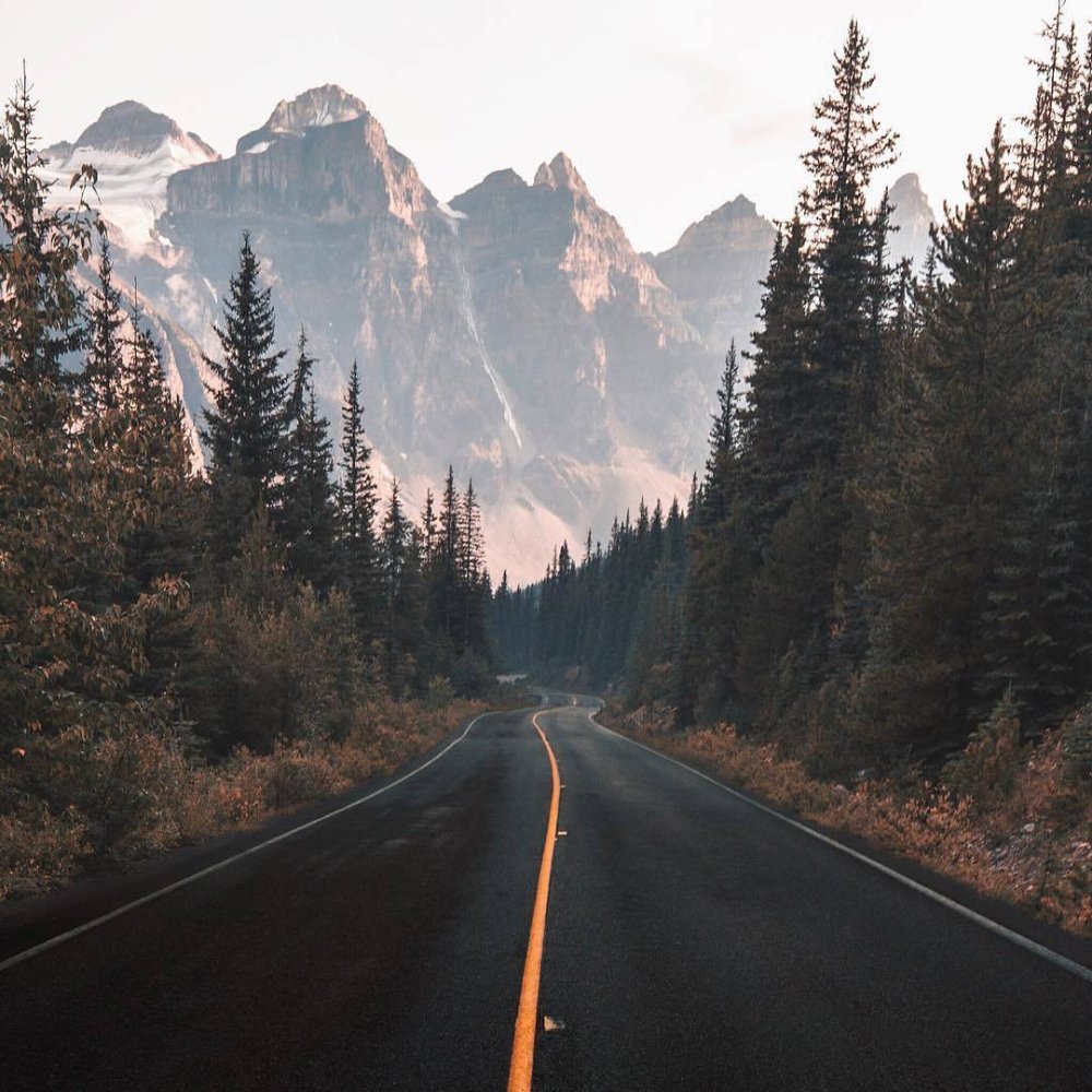 Дорога в темном лесу