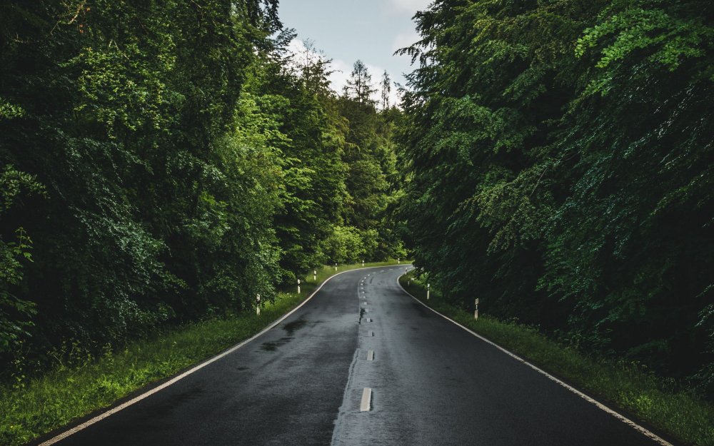 Шварцвальд дорога